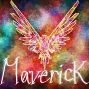 Meet your Posher, Kamryn